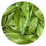 GOARTEA Supreme Spring Anji Bai Cha White Loose Leaf Chinese Green Tea
