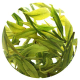 GOARTEA Premium Spring Anji Bai Cha Long Jing White Dragon Well Loose Leaf Chinese GREEN TEA