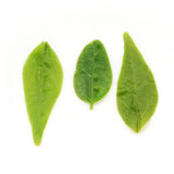 GOARTEA Supreme Kuding Bitter Herbal Green Tea Chinese Qingshan Lushui Loose Small-leaf
